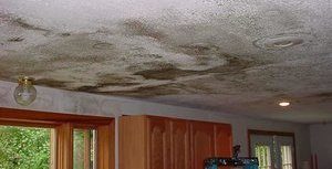 Water Damage That Caused Mold On Ceiling 