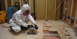 Water Damage Restoration Mold Removal Process