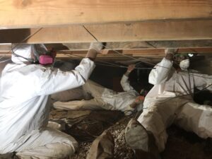 mold remediation techs working